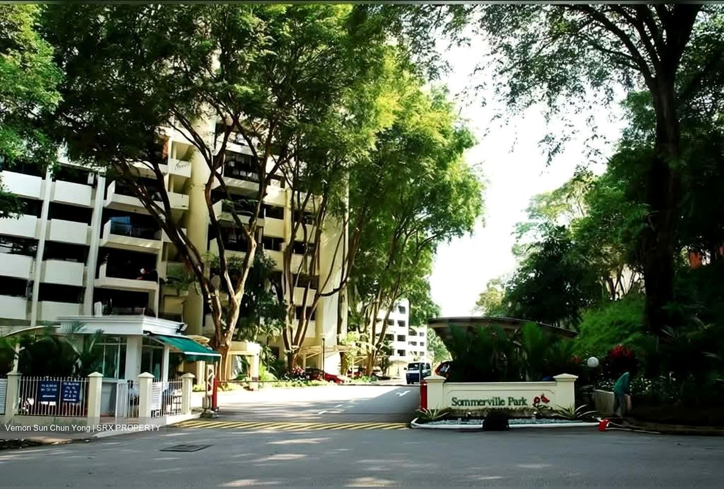 Sommerville Park (D10), Condominium #569701581